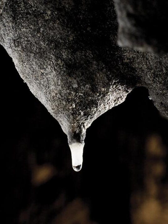 Tropfstein in der Höhle von Postojna
